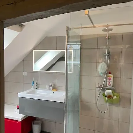 Διαμέρισμα Loft Hyper Centre Λε Μανς