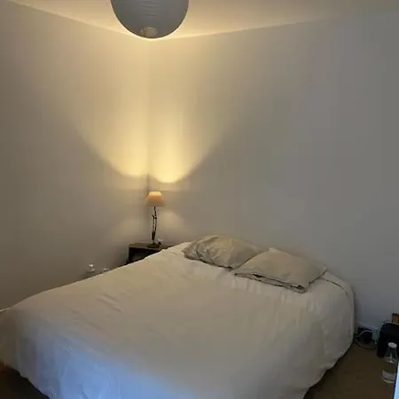 Loft Hyper Centre דירה לה מאנש
